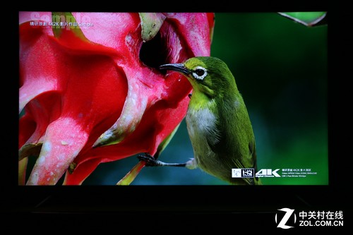 打开你的客厅潘多拉！天猫魔盒3Pro首测