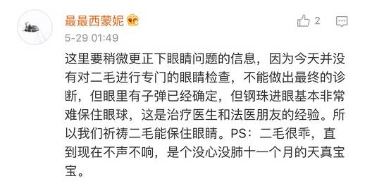 宠物狗能不能上飞机托运,飞机托运狗狗受伤