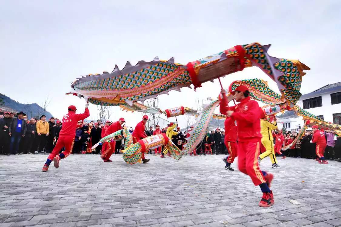 涵江蛏苗怎么培育出来的 (浙江乐清海蛏苗多少钱一斤)