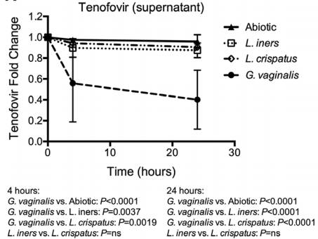 《科学》：厉害了！阴道微生物竟然对药物疗效有这么大影响力｜临床大发现