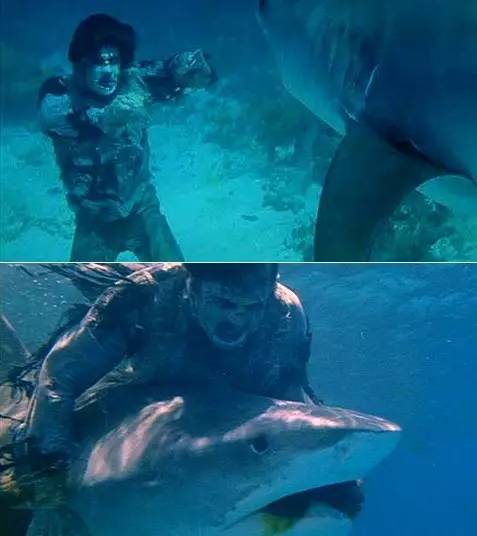 加勒比海盗骷髅鲨鱼完整版,加勒比海盗5中的亡灵鲨鱼