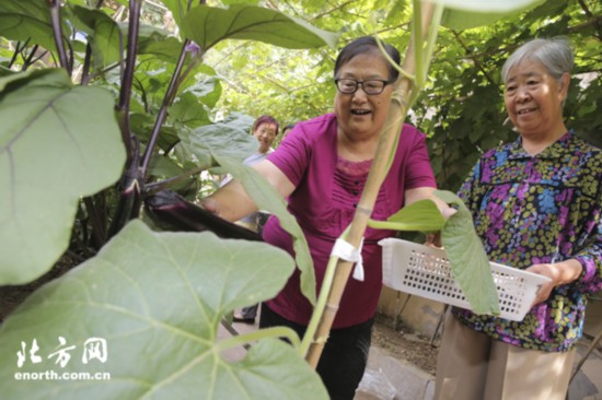 让老人生活幸福安度晚年,让老人的生活更加幸福