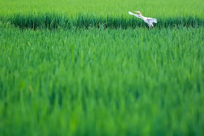 夏天就该去玩,夏天就去丽江旅游