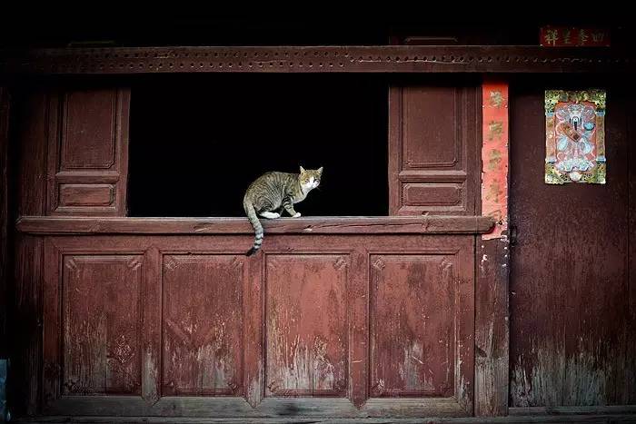 夏天就该去玩,夏天就去丽江旅游