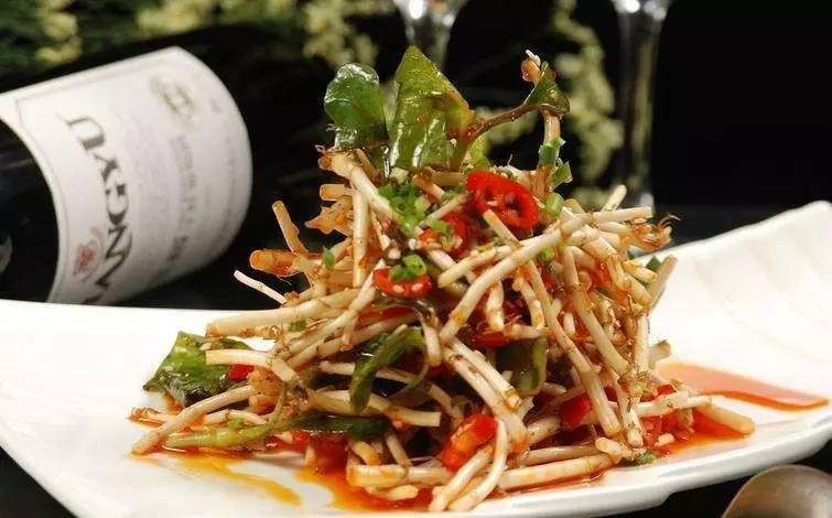 药食同源说野菜,蕺菜药用名