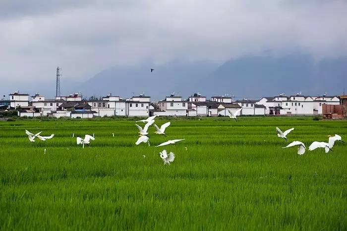 夏天就该去玩,夏天就去丽江旅游