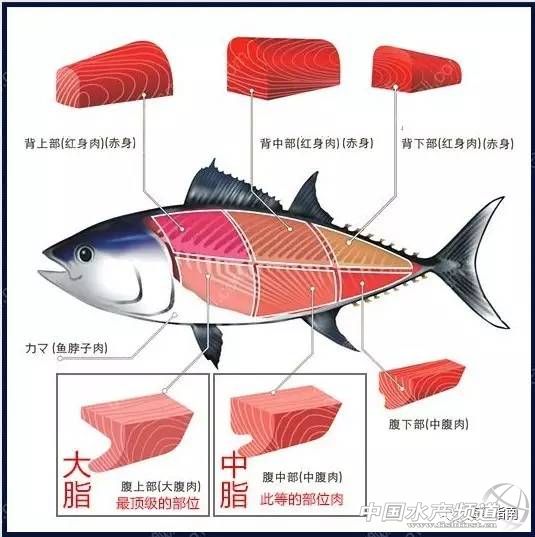 京东生鲜供应商合作京东生鲜电商,京东生鲜互利共赢