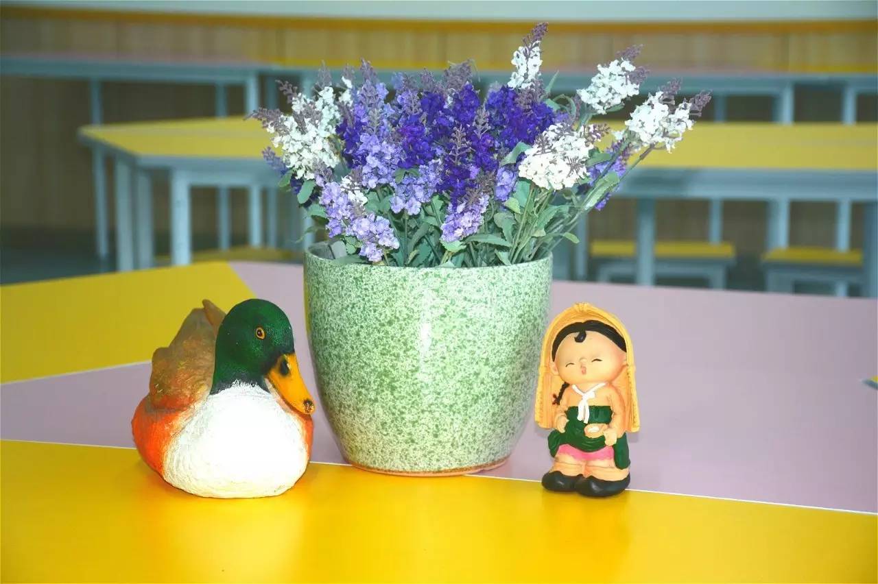 丹枫实验小学扩建,丹枫实验小学的平面图