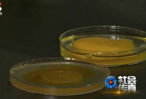 人造鸡蛋真假难辨,人造假鸡蛋