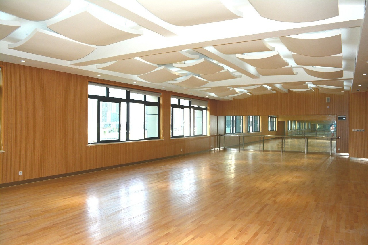 丹枫实验小学扩建,丹枫实验小学的平面图