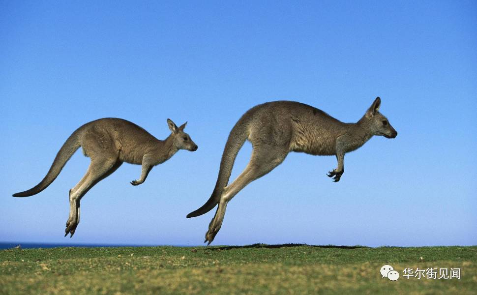 发展中国家最强大的国家是哪一个,老牌发达国家有多强大