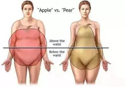 肥胖人的内脂,是虚胖好减还是真胖好减