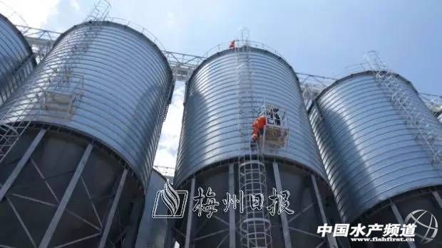 饲料工厂安全事故视频,饲料厂生产安全事故案例