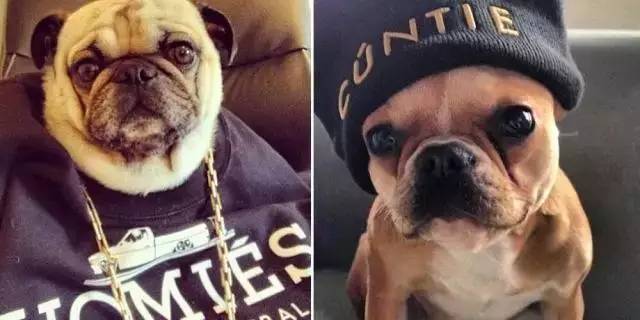 恶搞潮牌,时尚恶搞品牌