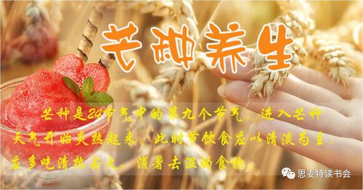 六月本草｜懂得放下，虽枯犹荣的夏枯草