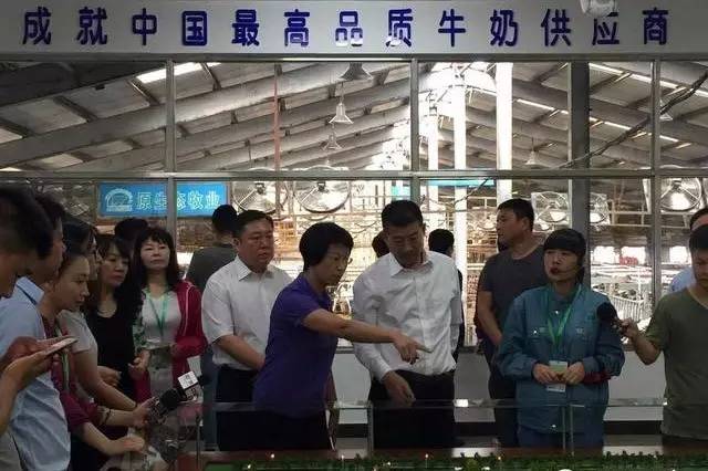 霸气！东北硬汉让国产奶粉在美国刷屏！1年狂卖46亿，还上了华尔街头条！