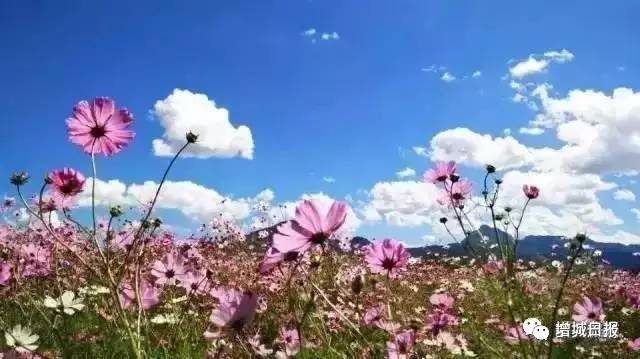 增城免费旅游景点攻略,增城必去十大免费景点小白云山