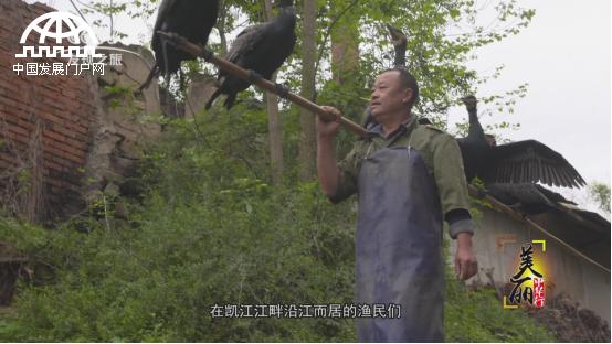 美丽中华行简介,中江千年古城美景图