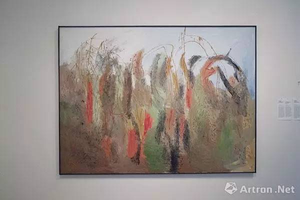 「直击卡塞尔」如何把卡塞尔打造成“最具政治性的”文献展？