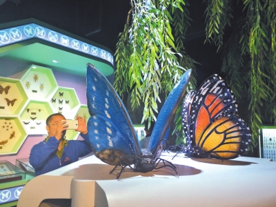 梦想隧道——感受安宁创新创业的强劲“脉搏”