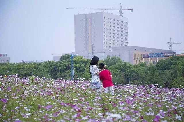 国旅学院的冷餐会不错噢学生证补办流程你都知道？心仪的课程抢到了嘛？周知师大与你一起（5.28—6.2）