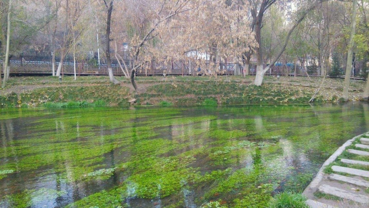 武汉又加开高铁线了，去兰州、乌鲁木齐这些地方玩，省钱又省时啦！