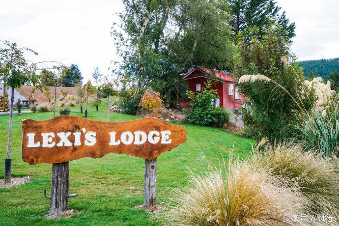 新西兰星空小镇最全攻略,新西兰tekapo旅游攻略