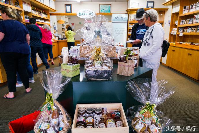 新西兰星空小镇最全攻略,新西兰tekapo旅游攻略