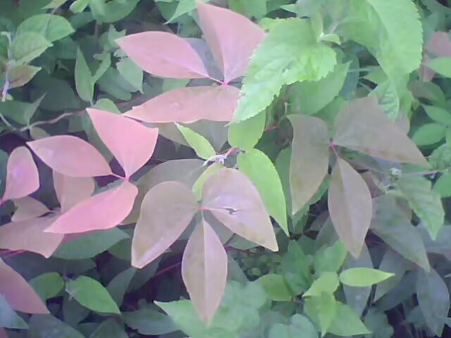 菱行(环中原骑行)5/21篇江西景德镇——浙江杭州