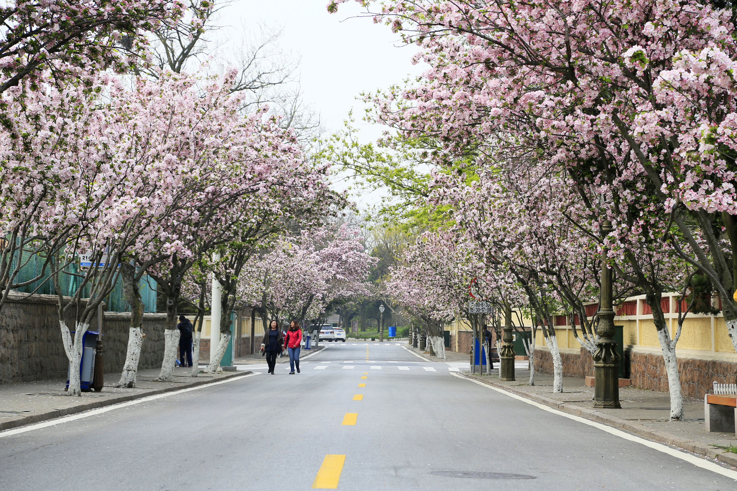 青岛海景花园大酒店春节,青岛市南区海景花园大酒店