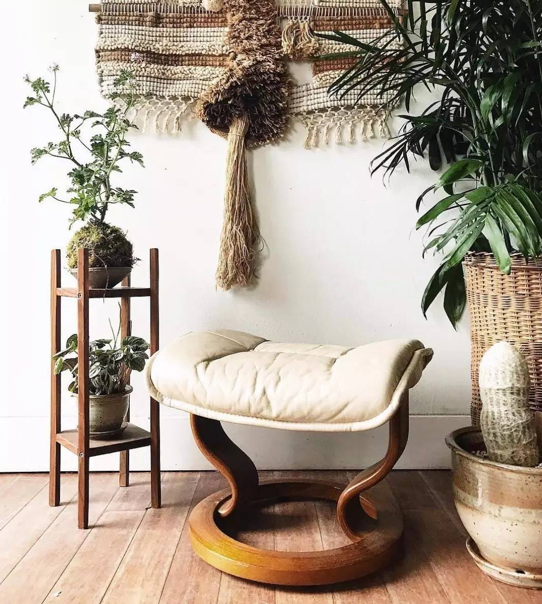 卖的最好的植物店,植物店能买到哪些植物