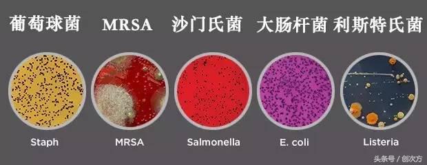 这个能随身携带的“消毒柜”，竟还能给手机消毒