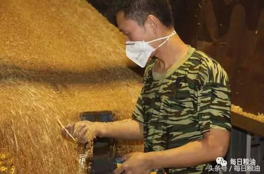 金沙河挂面是面粉起家吗,金沙河鸡蛋挂面纯小麦