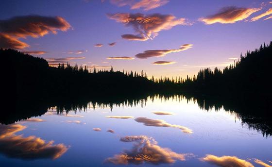 北岛说,北岛说面朝大海春暖花开