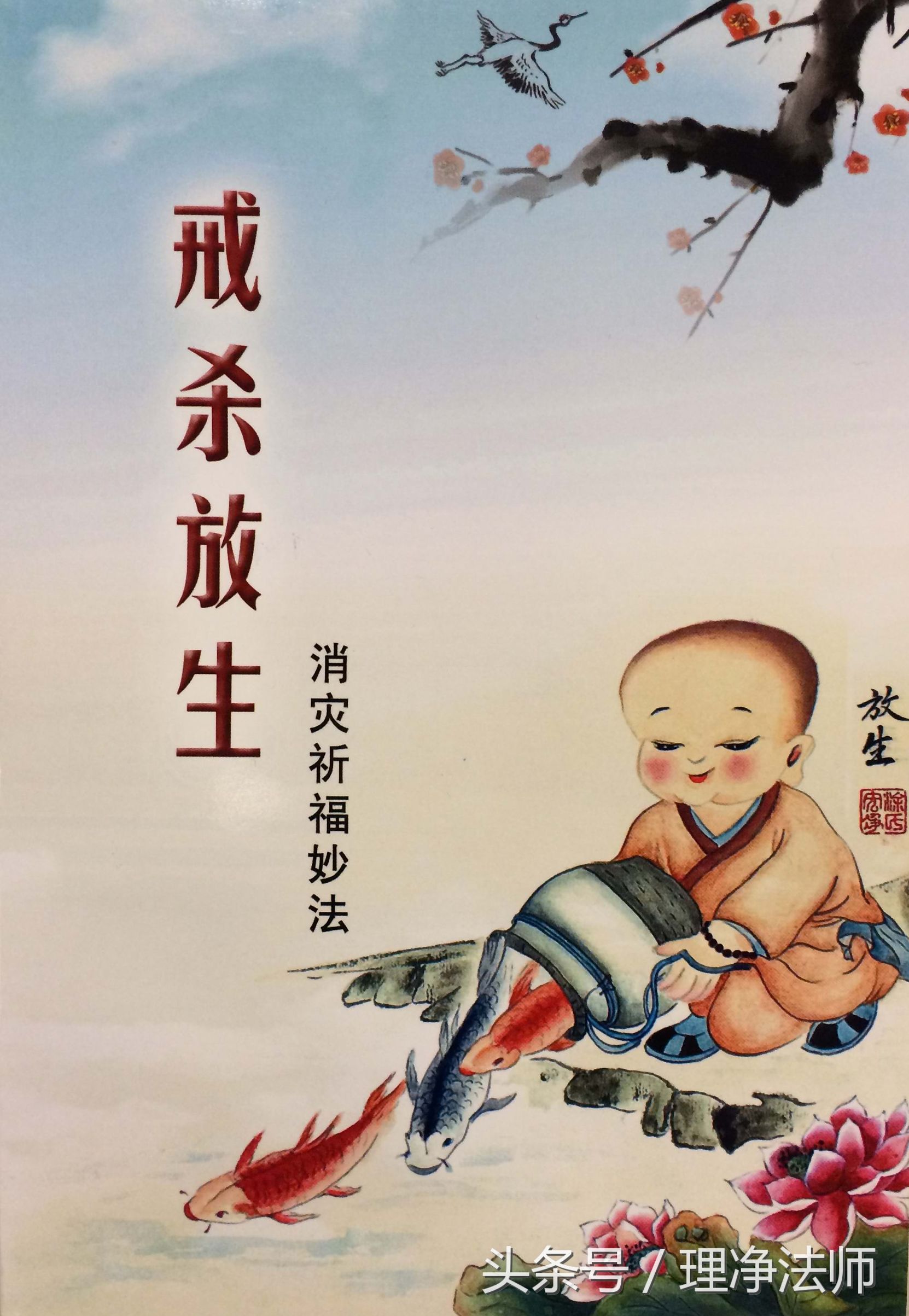 戒杀放生一书中讲为什么要吃素,莲池大师戒杀放生文全文诵读