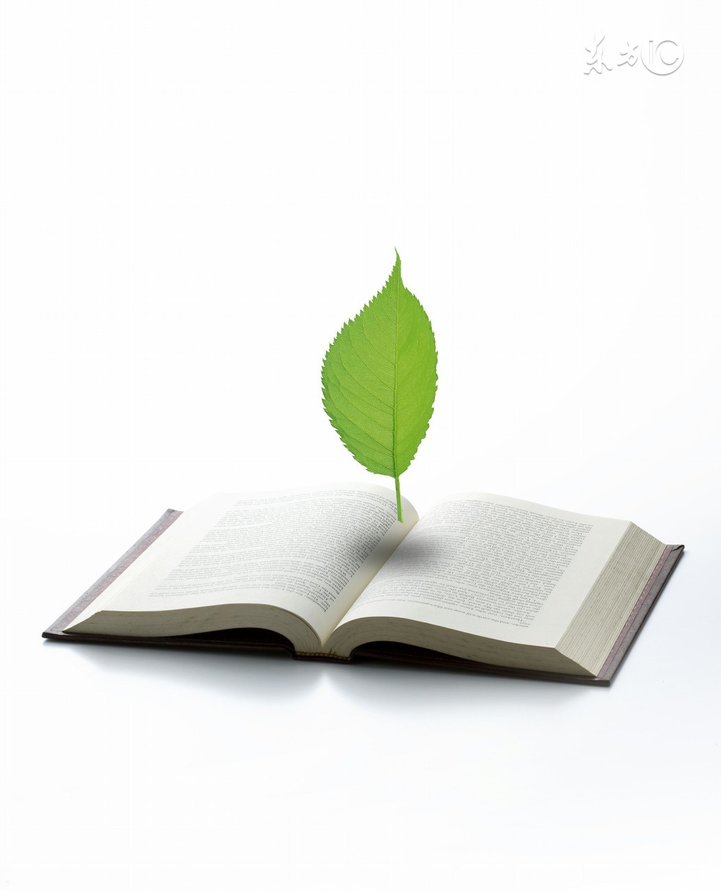 消失的老人,超有智慧的老人言