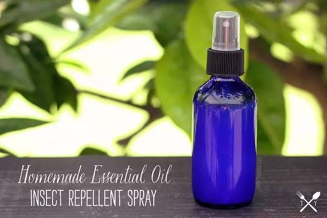 夏天防夜蚊小妙招,防蚊推荐夏季必备