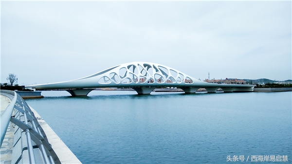 大美青岛之珊瑚贝桥,高清青岛珊瑚贝桥夜景