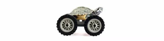 “开起车来我自己都怕”分享一只装上轮子的乌龟