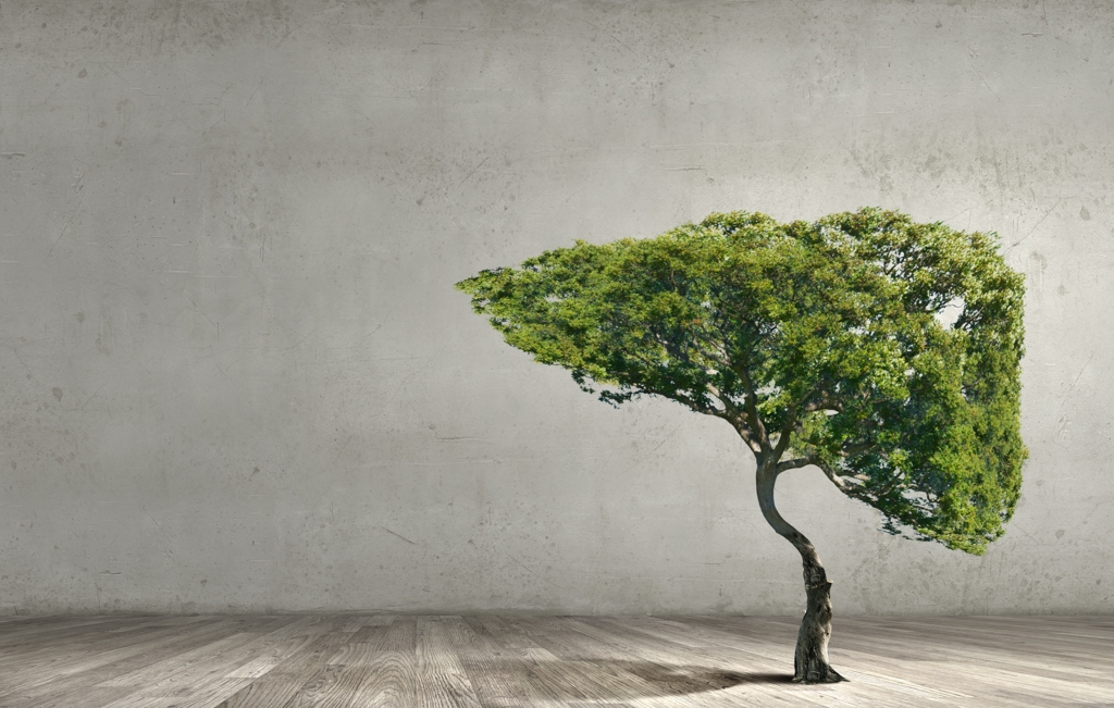 发热黄疸腹痛是什么病,肝不好肚子胀尿黄怎么办