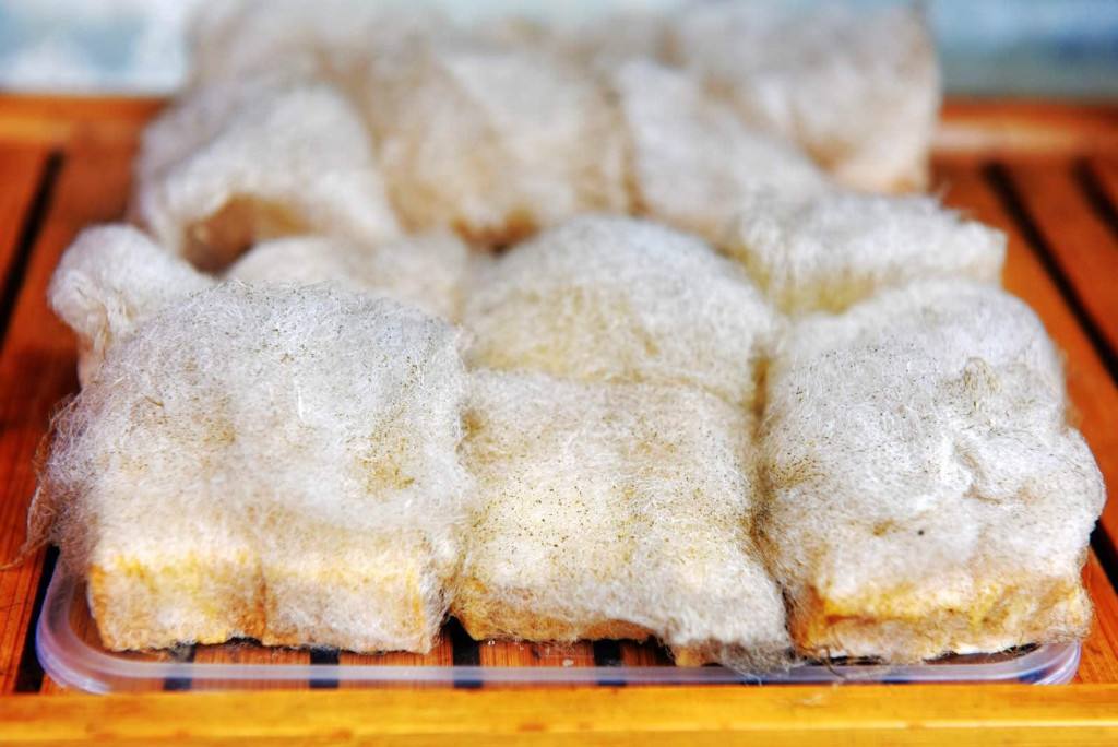 三款令人不可思议的美食,这些神奇的美食让你更惊艳