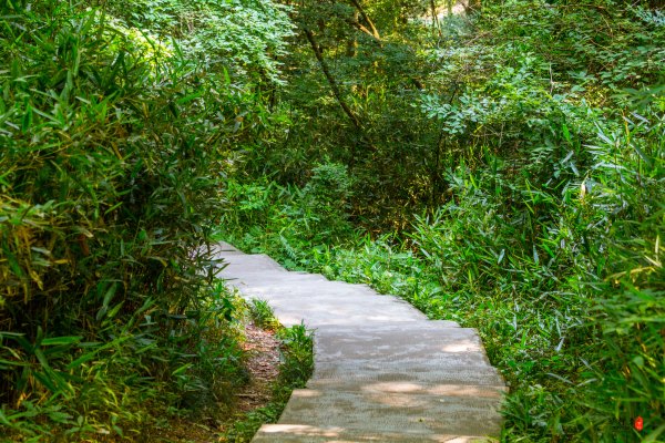 芜湖马仁奇峰玻璃栈道多高,芜湖马仁峰玻璃栈道