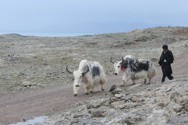 纳木错中国第几大湖是哪个湖,纳木错号称世界上最美最干净的湖