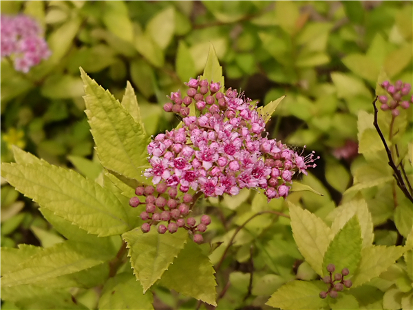 索尼黑科技xperia系列,黑科技满满产品