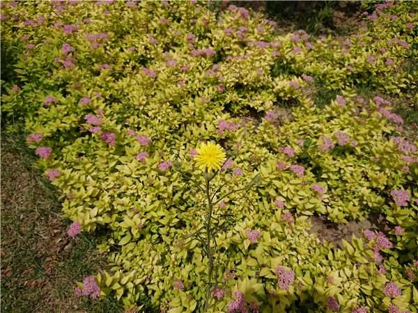 索尼黑科技xperia系列,黑科技满满产品