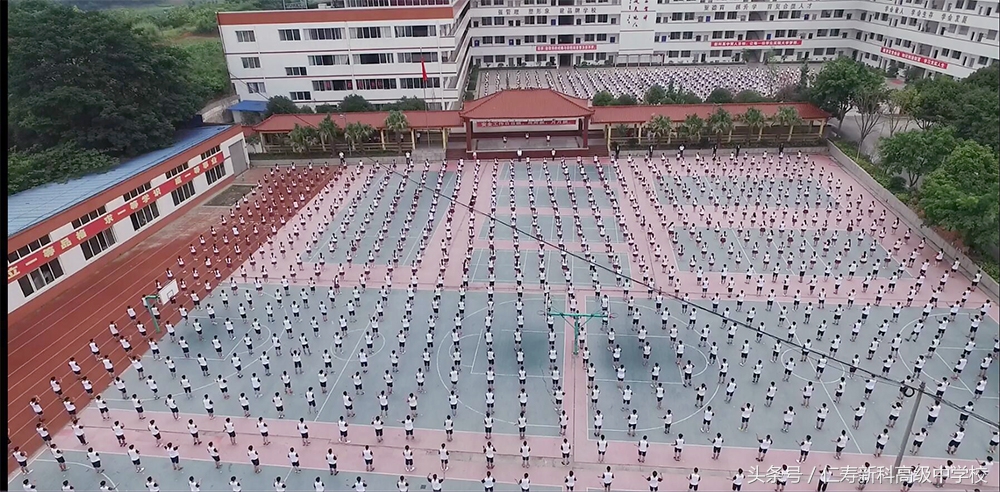 仁寿新科高级中学官网,仁寿新科高中简介