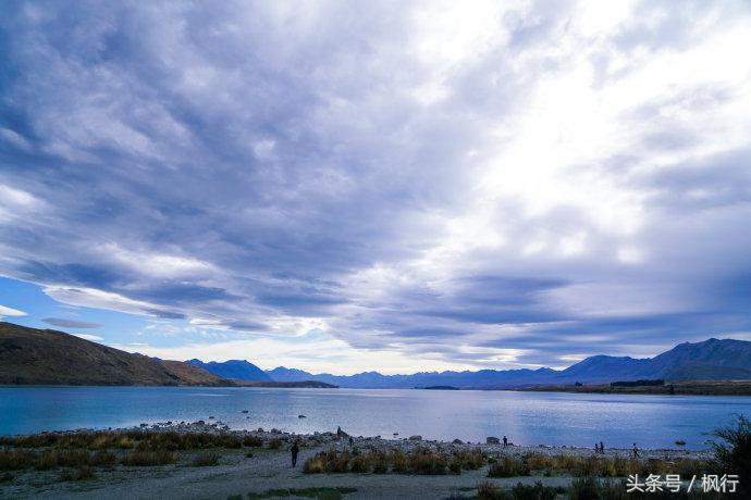 新西兰星空小镇最全攻略,新西兰tekapo旅游攻略