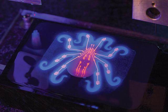 loomo机器人,loomo机器人评测