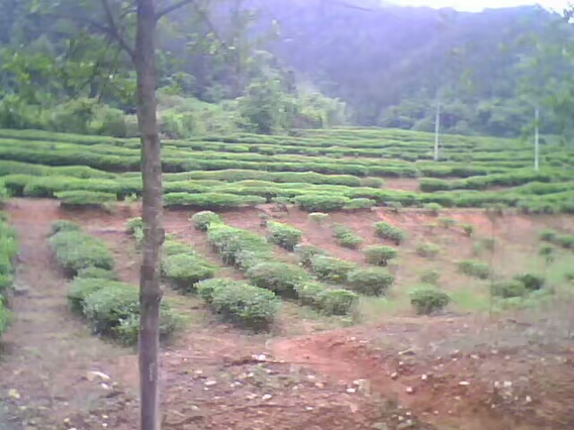 菱行(环中原骑行)5/21篇江西景德镇——浙江杭州