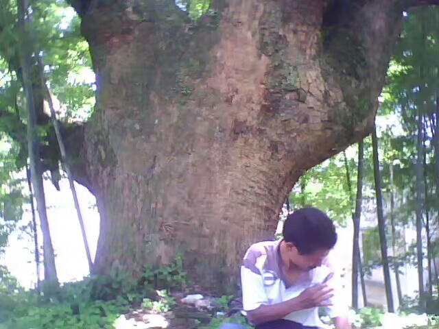 菱行(环中原骑行)5/21篇江西景德镇——浙江杭州